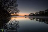 Morning Star & Estuary