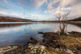 Morvern Dusk III - Ardtornish