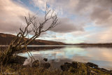 Morvern Dusk Reflections - Ardtornish