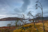 Morvern winter colours