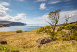 Clifftop Vista II - Summer Highlands