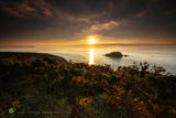Nare Head - Autumn's Glow -rev