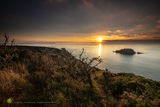 Nare Head - Autumn's Glow -rev