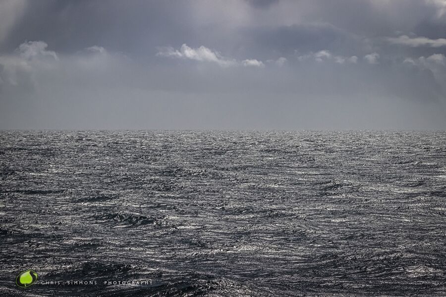 Ocean & Sky - Soaring Seas