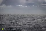 Ocean & Sky - Soaring Seas