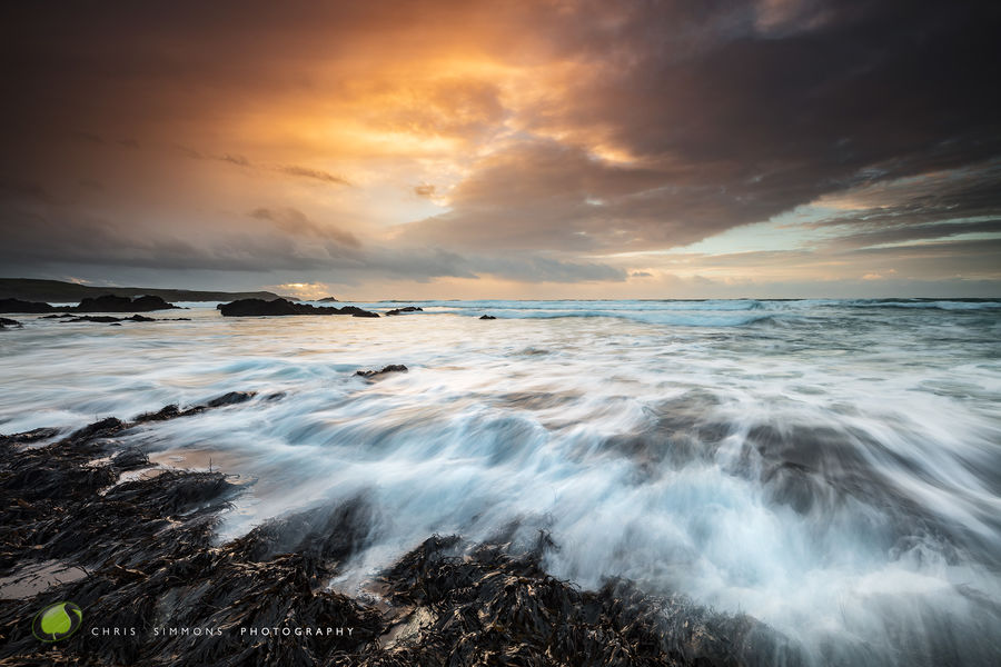 Pastel Towan Tideline