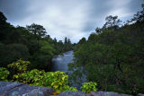 River Aline Darkening