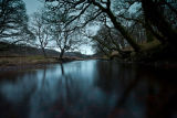 River Aline Winter dawning