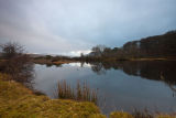 River reflections