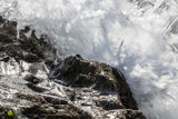 Rock Splash - rev