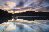 Roundwood Dawning Tide