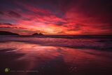 Scarlet Holywell Sundown - (CCArt)