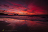 Scarlet Holywell Sundown - rev