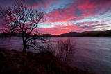 ...Shepherd's warning