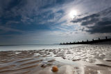 Shoreline Shells