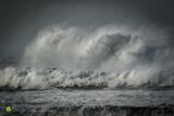 Silent Storm Greys