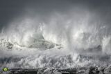 Silent Storm VII