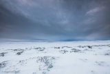Snowscape Vista II