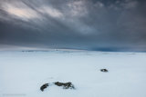 Snowscape Vista