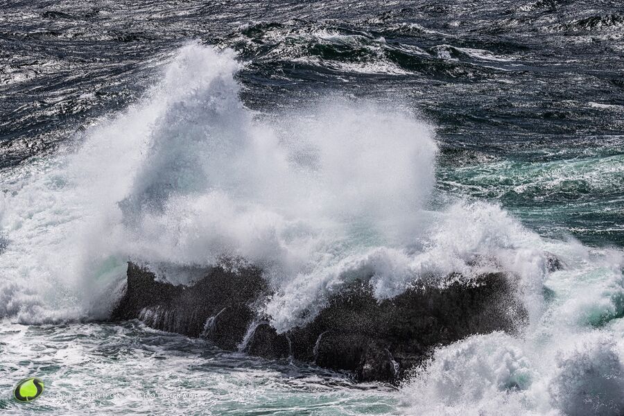 Soaring Seas I