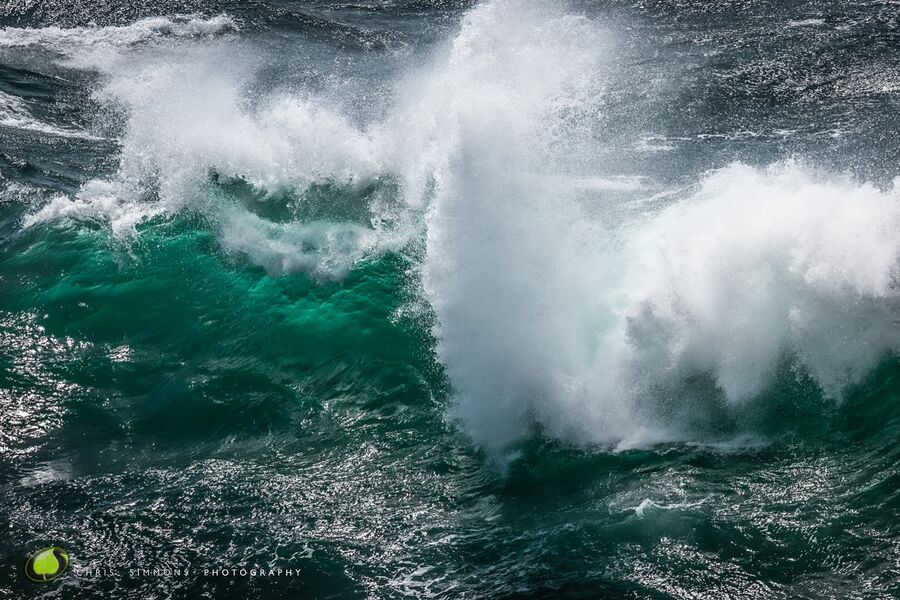 Soaring Seas III