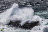 Soaring Seas I