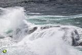 Soaring Seas VII