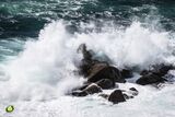 Soaring Seas V