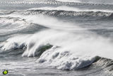 Storm Brew VII