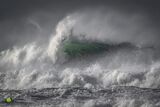 Storm Darcy Master
