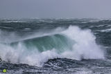 Storm Freya Sea II. C