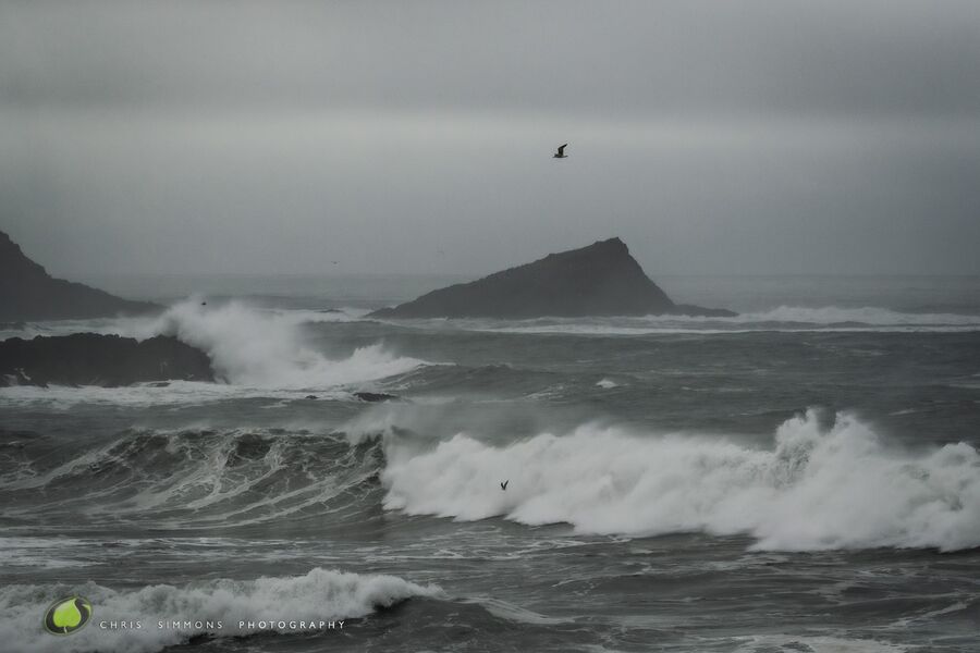 Storm Greys & Gulls II