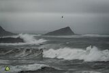 Storm Greys & Gulls II