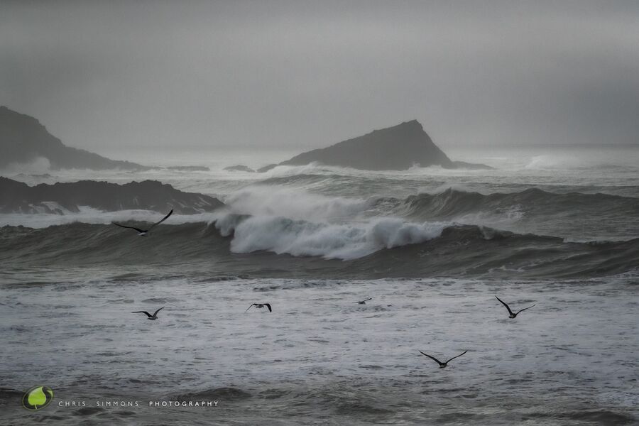 Storm Greys & Gulls II