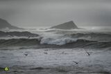Storm Greys & Gulls II