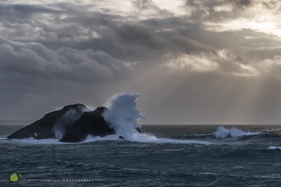 Storm Gulls III