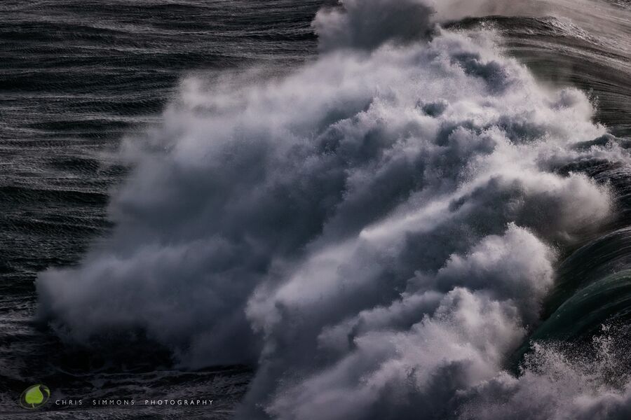 Storm Gulls - IV