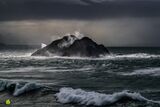 Storm Gulls Vista