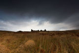 Storm, Ruin textures