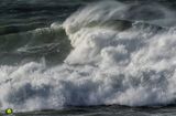 Storm Dennis - Gull & Wave II
