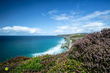 Summer Cliffscape - rev