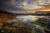 Summer Dawn Reflection - Crantock