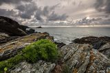 Summer Greys - To Chick Rock