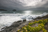 Summer Storm - Kelsey Head