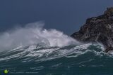 Summer Storm Gannet