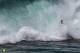 Summer Storm Fulmar
