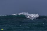 Summer Storm XX
