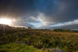 Ardtornish