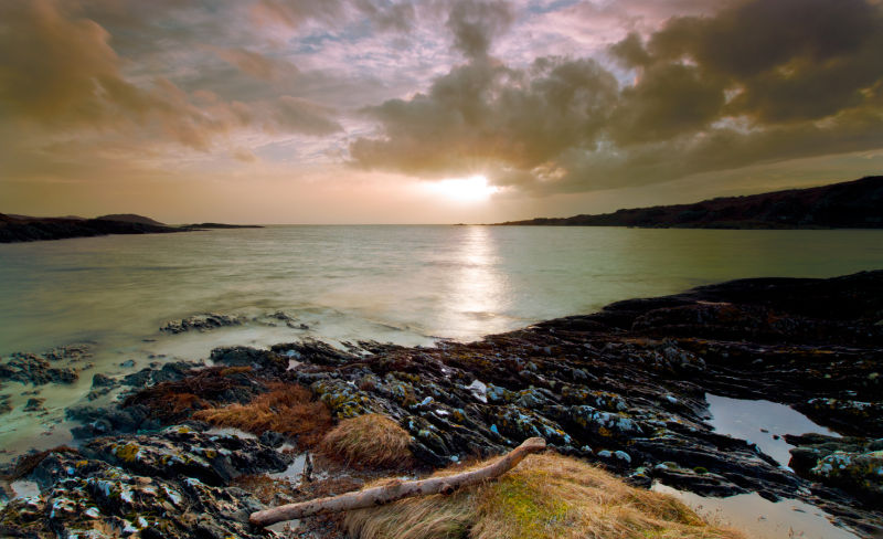 Sunset Driftwood - West Tarbert Bay