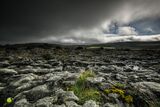 The Burren